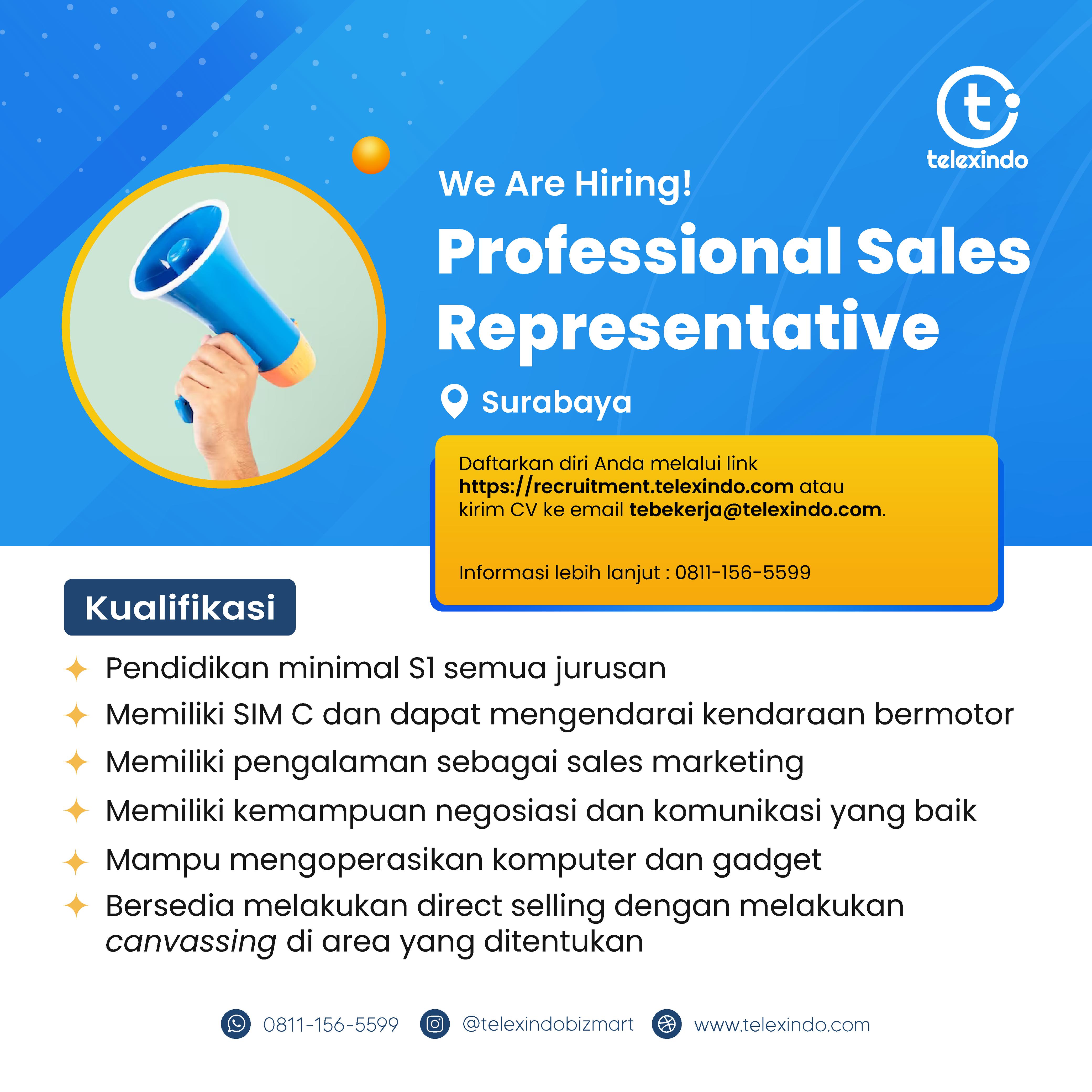 PROFESSIONAL SALES REPRESENTATIVE